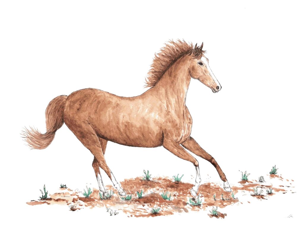 Illustration Running horse