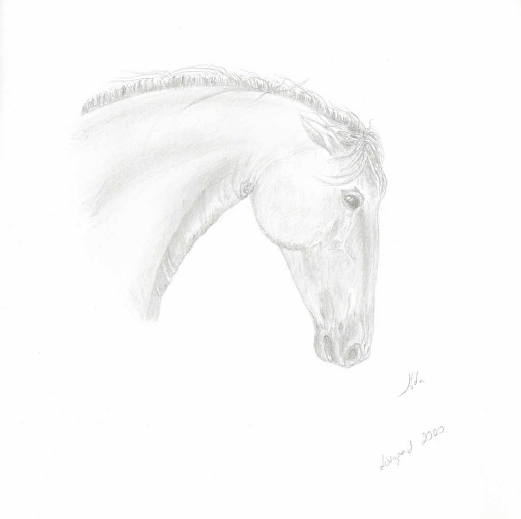 Illustration Horse