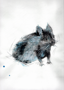 Illustration Mouse